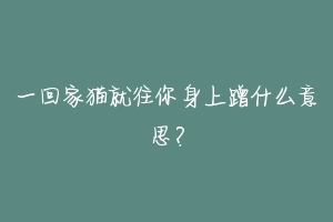 一回家猫就往你身上蹭什么意思？