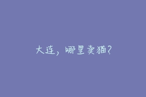 大连，哪里卖猫？-动物百科
