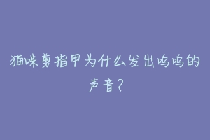 猫咪剪指甲为什么发出呜呜的声音？-动物百科
