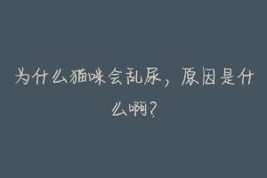 为什么猫咪会乱尿，原因是什么啊？-动物百科