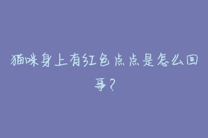 猫咪身上有红色点点是怎么回事?-动物百科