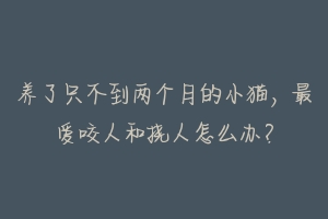 养了只不到两个月的小猫,最爱咬人和挠人怎么办?