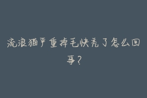 流浪猫严重掉毛快秃了怎么回事?