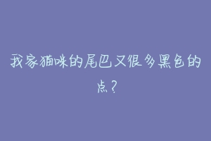 我家猫咪的尾巴又很多黑色的点?