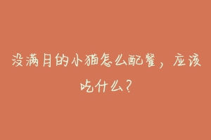 没满月的小猫怎么配餐,应该吃什么?