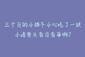 三个月的小猫不小心吃了一块小鸡骨头有没有事啊?