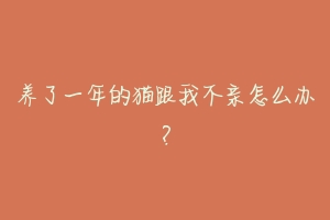 养了一年的猫跟我不亲怎么办?