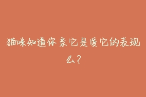 猫咪知道你亲它是爱它的表现么?