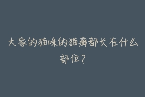 大家的猫咪的猫癣都长在什么部位?