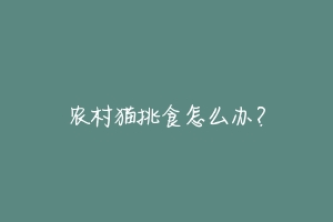 农村猫挑食怎么办?