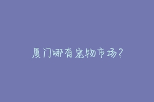 厦门哪有宠物市场?