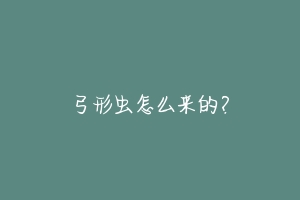 弓形虫怎么来的?-动物百科