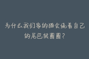 为什么我们家的猫会绕着自己的尾巴转圈圈?