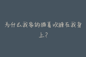 为什么我家的猫喜欢睡在我身上?