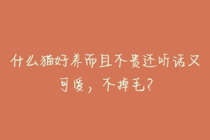 什么猫好养而且不贵还听话又可爱，不掉毛？