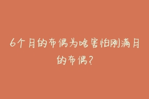 6个月的布偶为啥害怕刚满月的布偶?