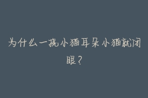 为什么一挠小猫耳朵小猫就闭眼?