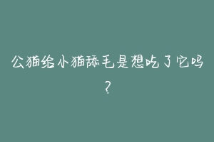 公猫给小猫舔毛是想吃了它吗?