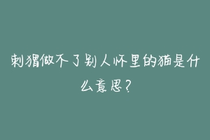 刺猬做不了别人怀里的猫是什么意思?-动物百科