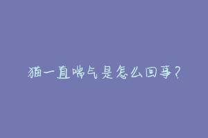 猫一直喘气是怎么回事?-动物百科