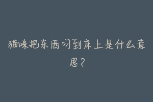 猫咪把东西叼到床上是什么意思?-动物百科