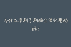 为什么用刷子刷猫会使它想妈妈?