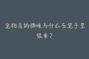 宠物店的猫咪为什么在笼子里很乖?-动物百科