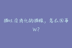 猫吐没消化的猫粮,怎么回事W?-动物百科
