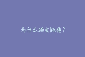 为什么猫会跳楼?-动物百科