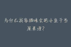 为什么我家猫咪会把小鱼干当屎来埋?-动物百科
