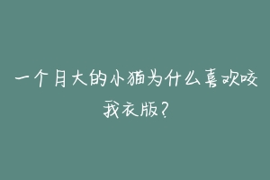 一个月大的小猫为什么喜欢咬我衣版?-动物百科