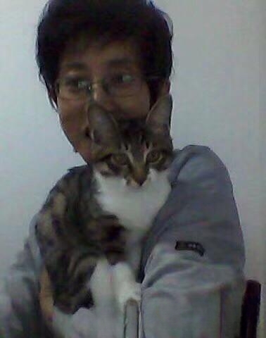 公猫离家出走后还会回来吗？