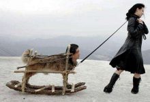 有哪些值得一看的韩国电影?