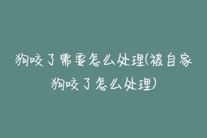 狗咬了需要怎么处理(被自家狗咬了怎么处理)-动物百科