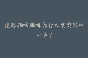 抱起猫咪猫咪为什么会突然叫一声?-动物百科