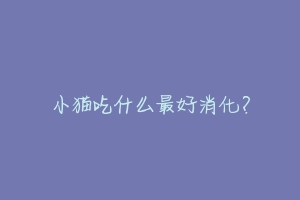 小猫吃什么最好消化?-动物百科