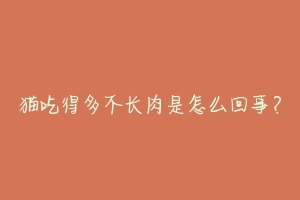 猫吃得多不长肉是怎么回事?-动物百科