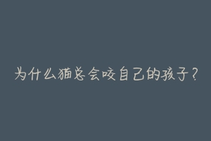 为什么猫总会咬自己的孩子?-动物百科