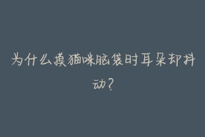 为什么摸猫咪脑袋时耳朵却抖动?-动物百科