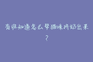 有谁知道怎么帮猫咪挤奶出来?-动物百科