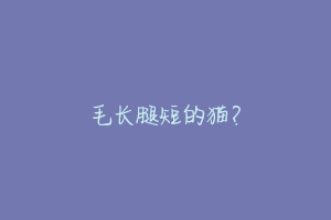 毛长腿短的猫?-动物百科