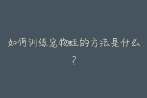 如何训练宠物蛙的方法是什么?