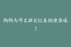 狗狗为何会拉出红色的便便呢?