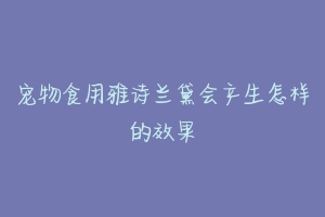 宠物食用雅诗兰黛会产生怎样的效果