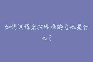 如何训练宠物性格的方法是什么?