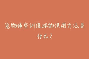 宠物镂空训练球的使用方法是什么?