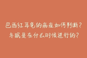 巴西红耳龟的病症如何判断?冬眠是在什么时候进行的?