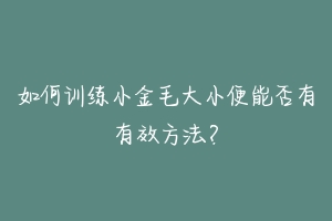 如何训练小金毛大小便能否有有效方法?