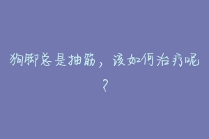 狗脚总是抽筋，该如何治疗呢？