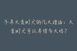 不养大麦町犬的几大理由:大麦町犬可以养得多大吗?-动物百科